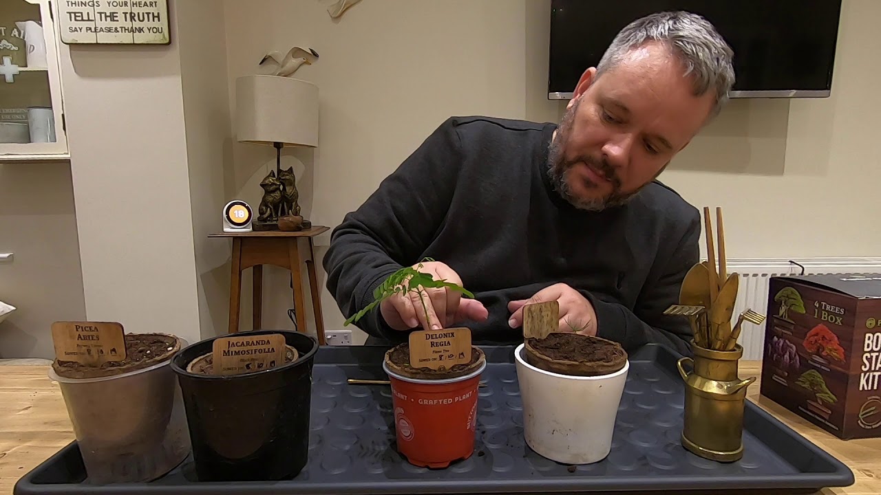 Episode 2 Planters Choice Bonsai Starter Kit