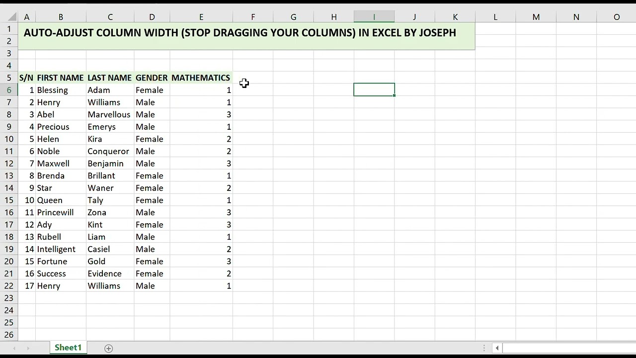 AUTO ADJUST COLUMN WIDTH IN EXCEL
