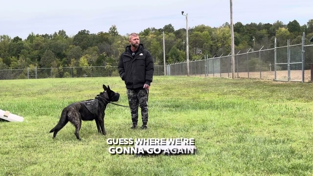 Diffusing Aggression With Police K9
