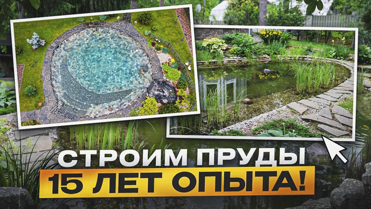Строительство прудов под ключ — 15 лет семейного опыта