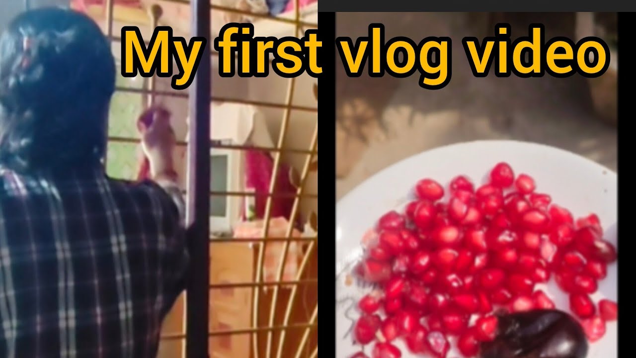 My first vlog video 😊#bengalivlog #daliyvlog #youtubevideo 