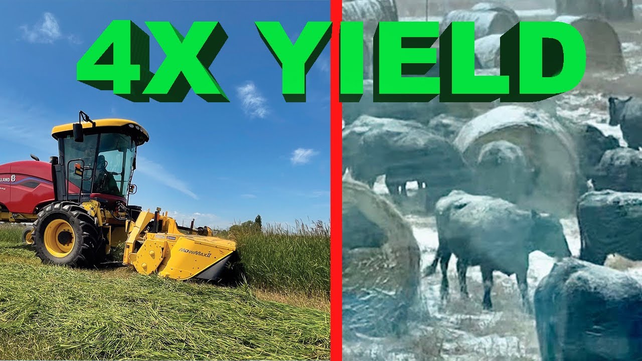 Regenerative Agriculture Is Incredible!!