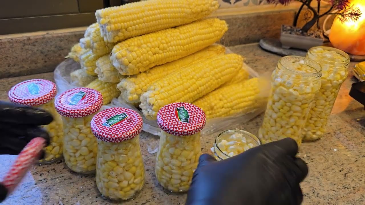 تخزين الذرة 🌽 لمدة سنة ☝️بدون براد