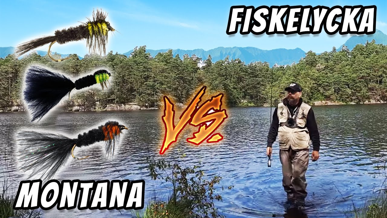 Flugfiske Med Montana, Het Eller Iskall? | Fiskelycka