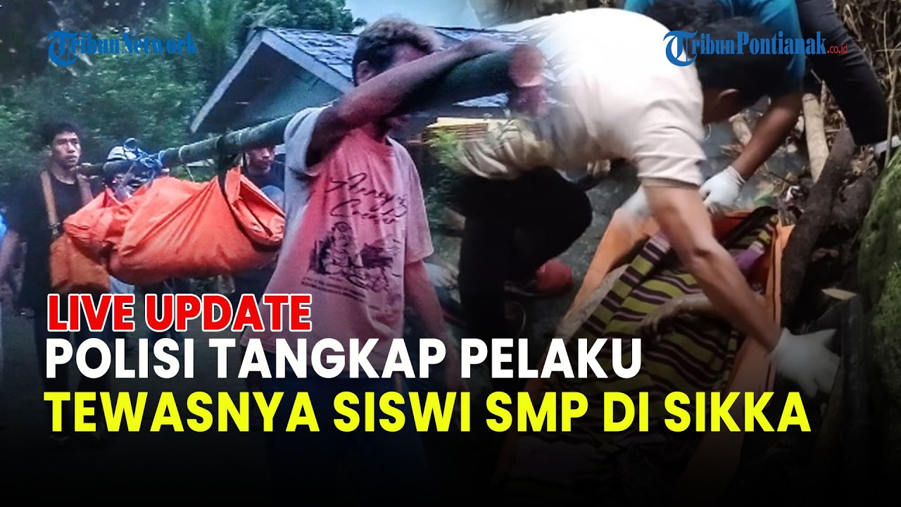 🔵 GERAK CEPAT POLRES SIKKA AMANKAN TERDUGA PELAKU KASUS SISWI SMP DI NTT