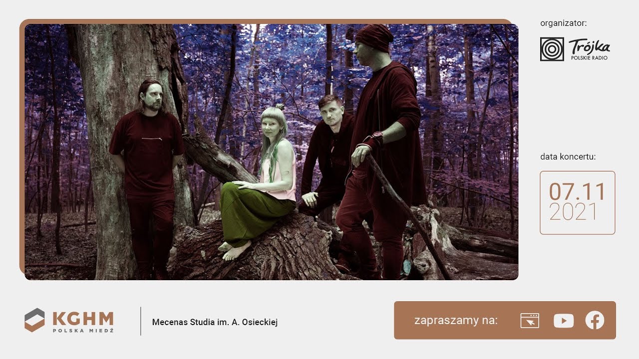 Amarok | Koncert w Trójce