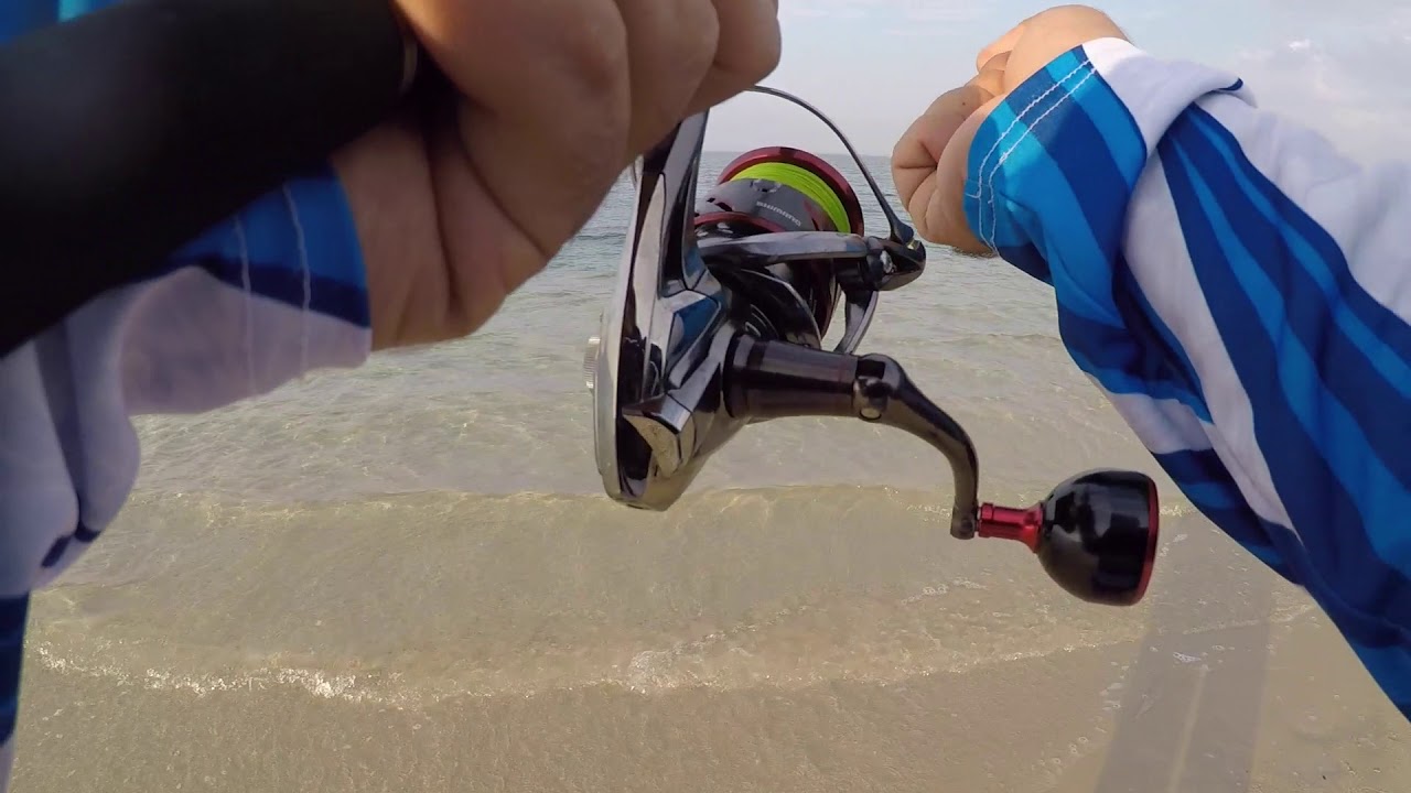 Shore Jigging Inland Qatar , Fishing 2018 more than 30 Queen Fish صيد العديد قطر اكثر من 30 ضلعه