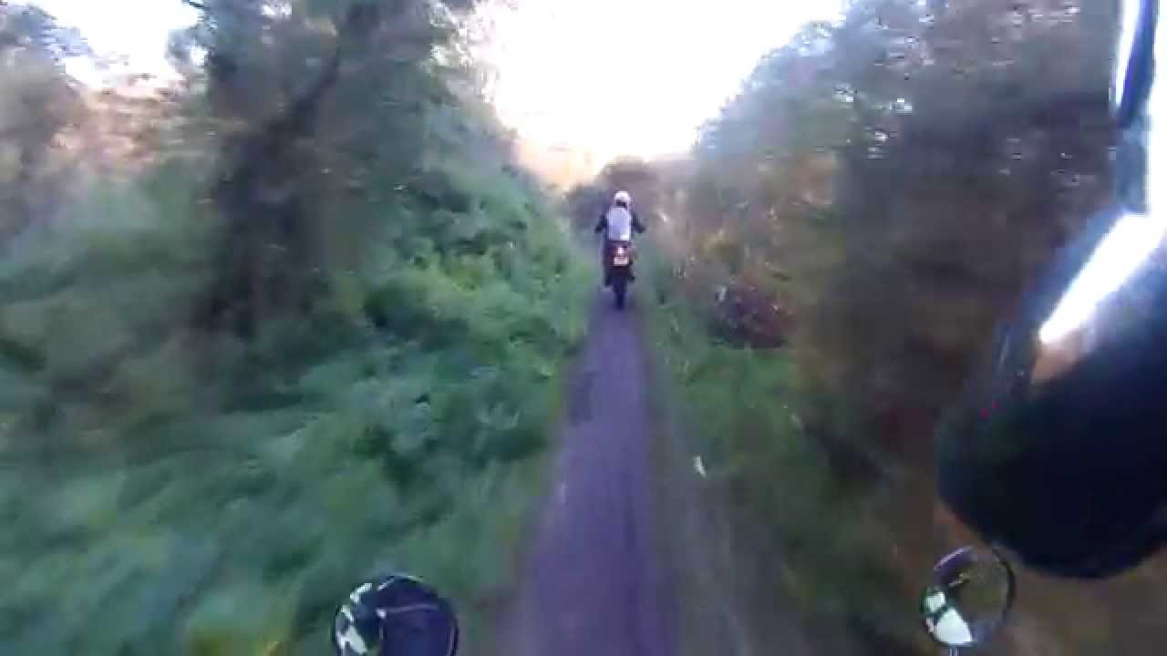 Salisbury - Harnham to Churchfields (Byway, W-E)