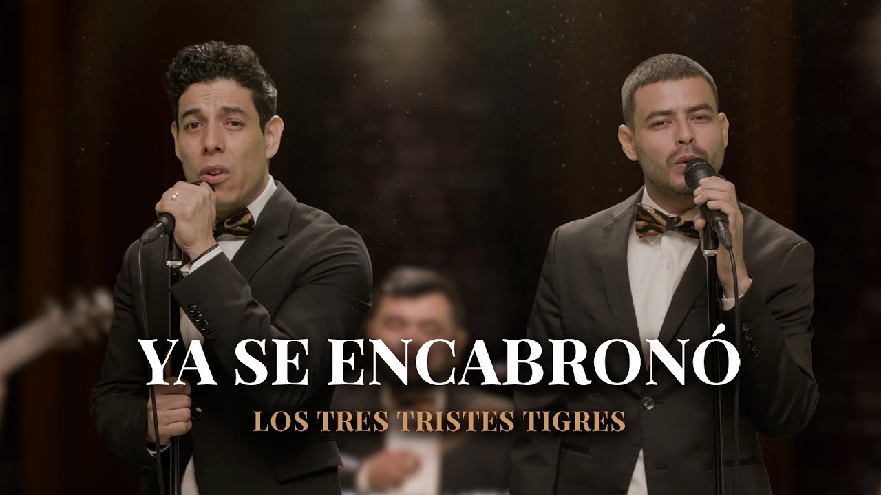 Enrique Iglesias, Juan Luis Guerra - Cuando Me Enamoro | PARODIA 
