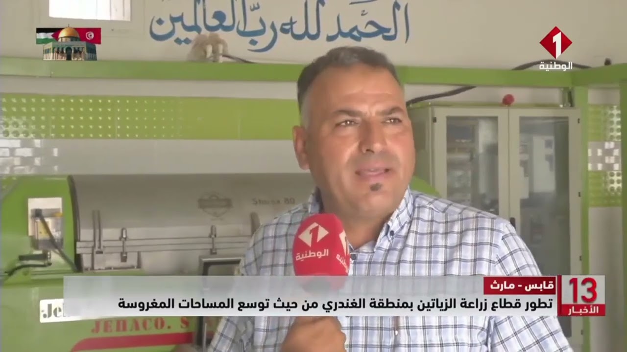 قابس - مارث || تطور قطاع زراعة الزياتين بمنطقة الغندري من حيث توسع المساحات المغروسة