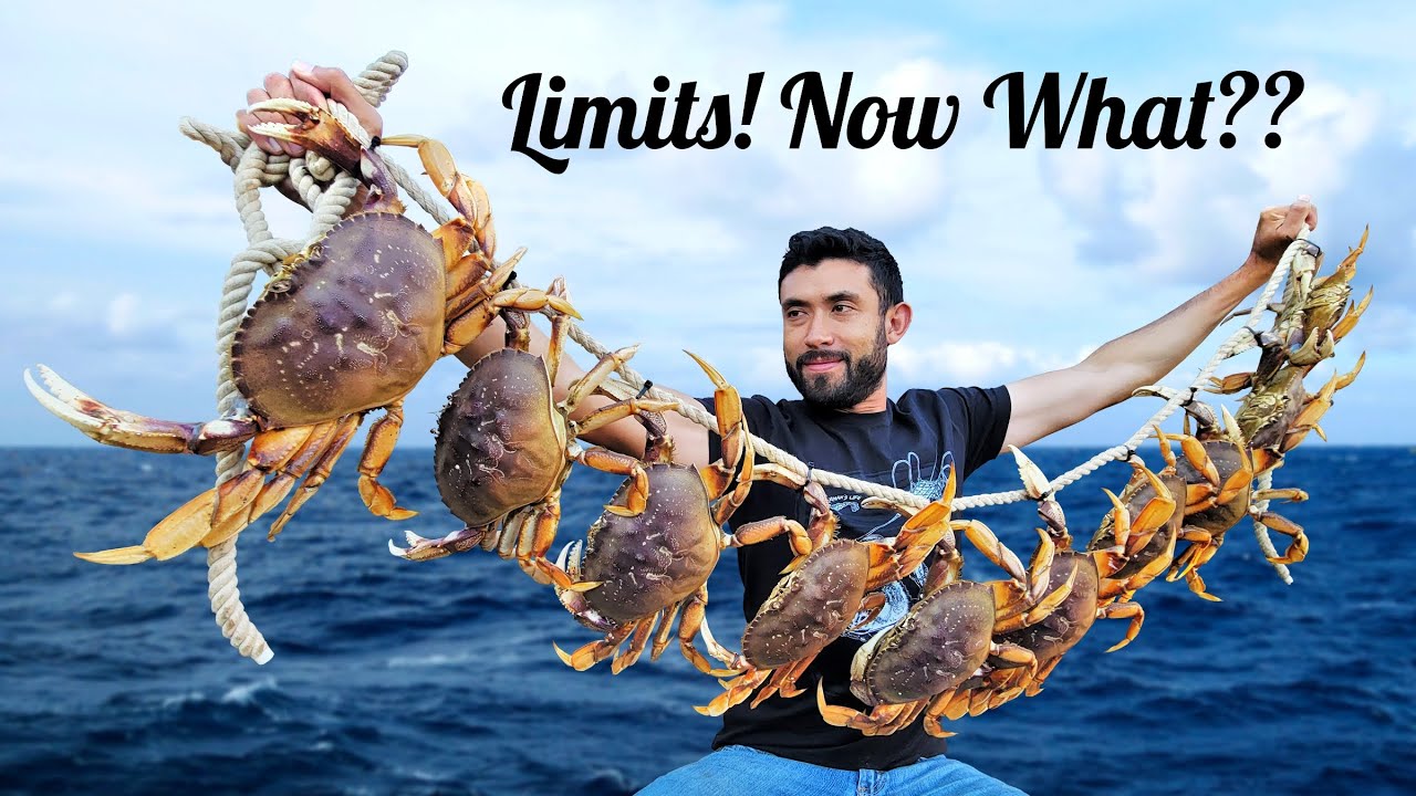 Cooking HUGE HAUL of Dungeness Crab (There are too Many!!)