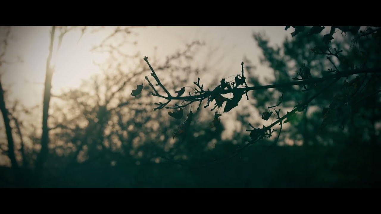Cold Day | B-Roll | Sony α7s mark. I
