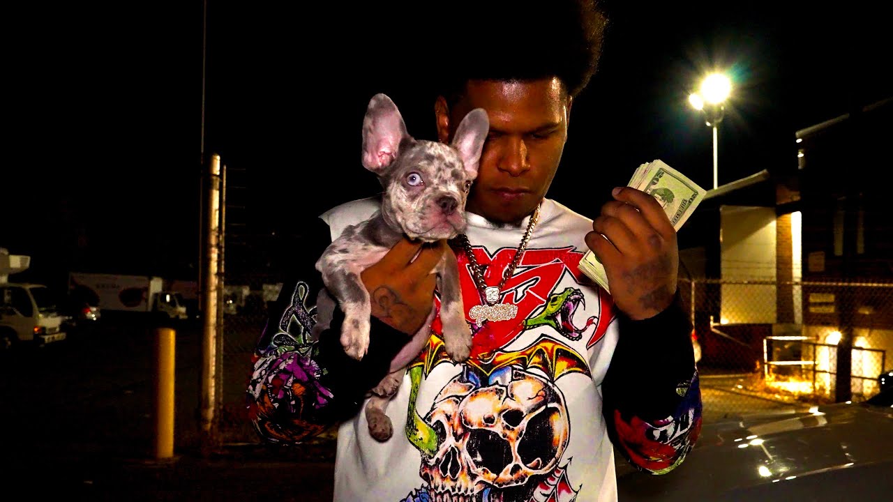 Pollito Trapper -SIN DATA (Official Video)