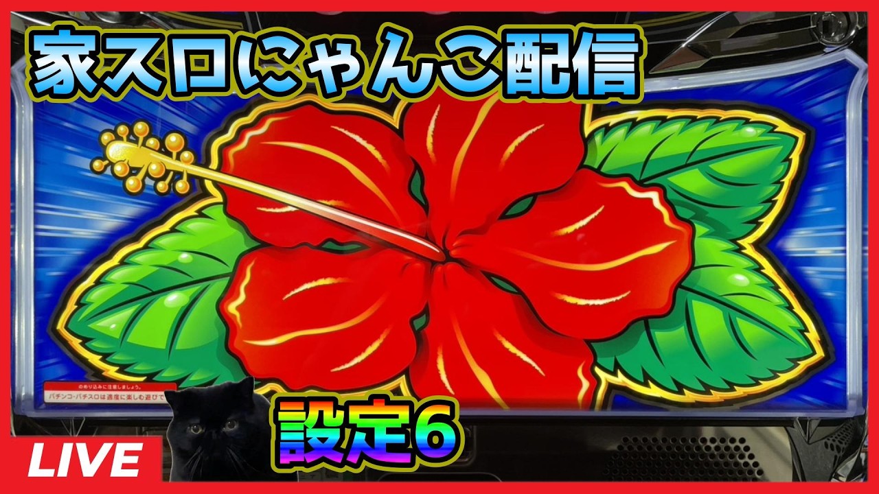 【家スロにゃんこ配信】ハイビリターン-30【設定6】