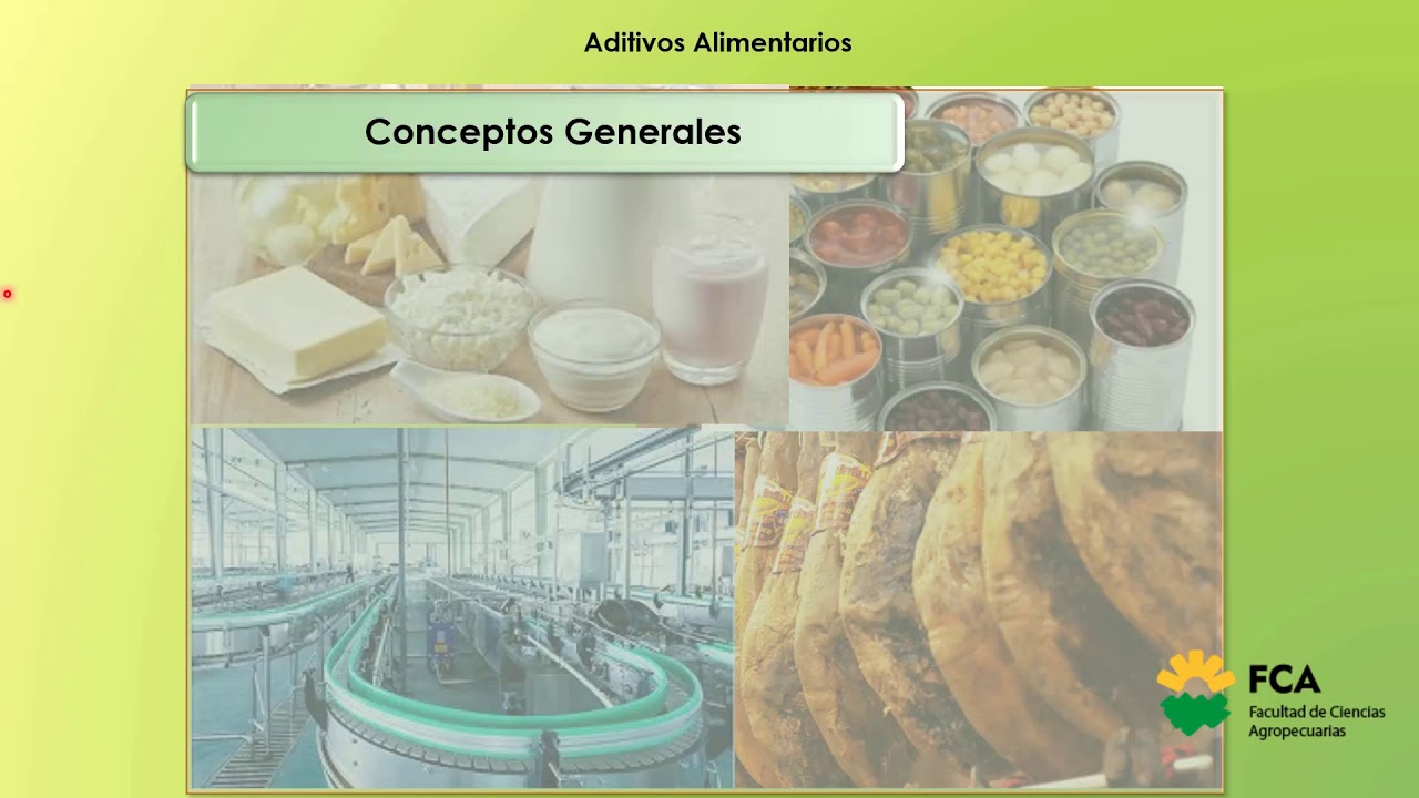 aditivos alimentarios parte 1