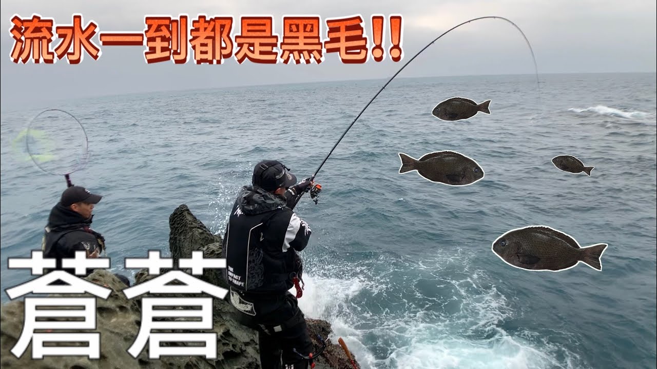 【東澳外礁】首次挑戰粉鳥林黑毛名礁-蒼蒼！平和卓也傳授妙招！阿達利釣組分享｜#磯釣 #白鴿 #釣魚教學 #釣武者 #滿點生技#粉鳥林