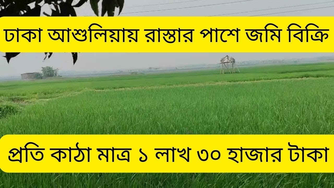 ঢাকা আশুলিয়ায় কম দামে সরকারি স্কুলের পাশে জমি বিক্রি | real estate | land sale Dhaka Asulia