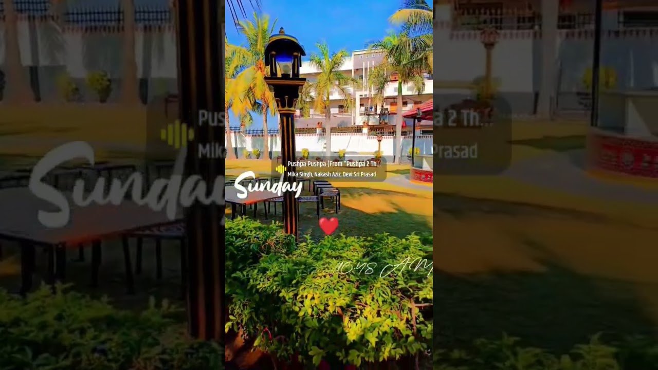 New look j.p resort #resort #jp #hotel #sorts #video
