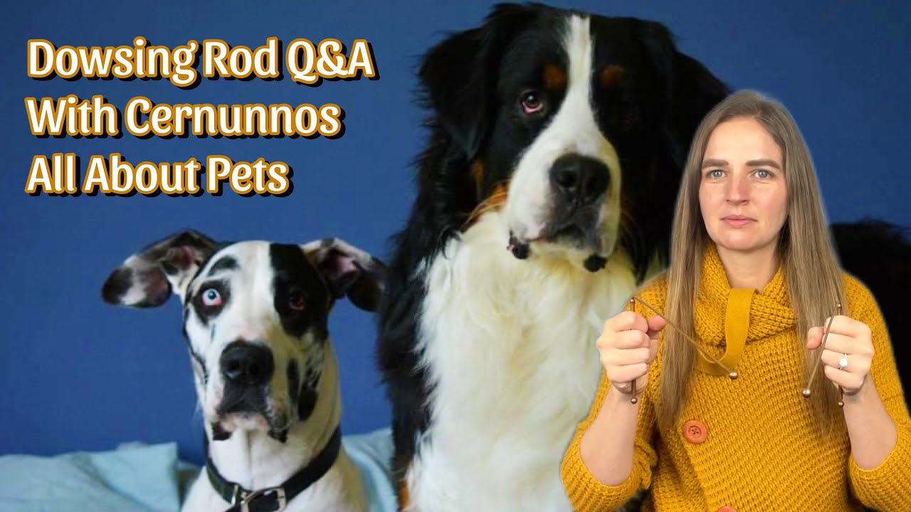 Dowsing Rod Q&A with Cernunnos | All About Pets, Dogs, and Cats