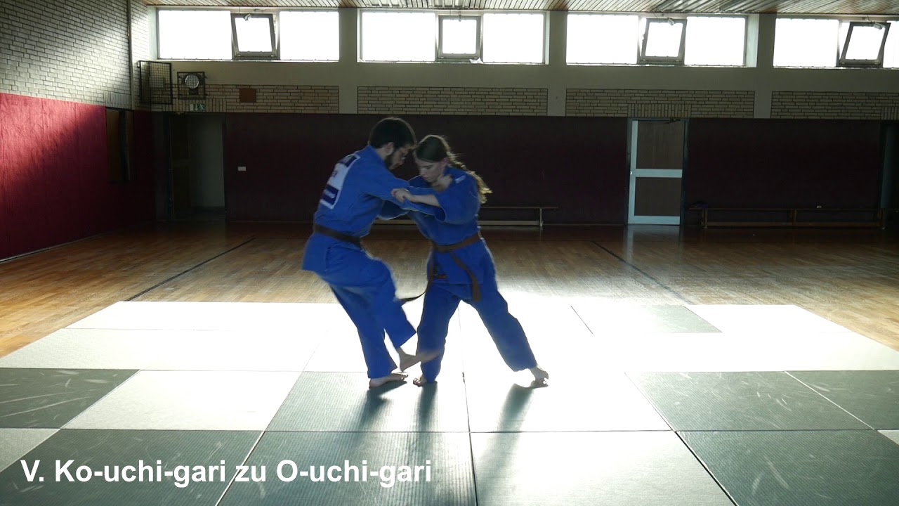 Judo || Kombinationen und Finten (Techniksammlung) - #ZusammenZumDan #33