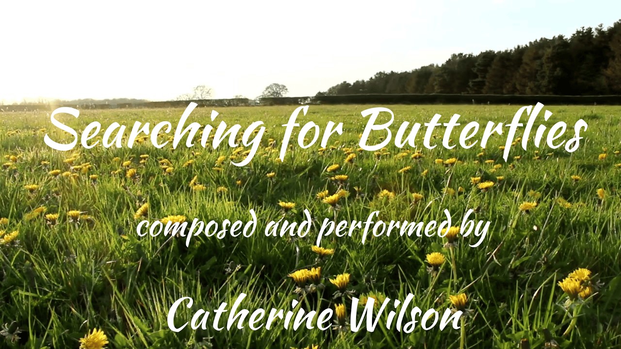 Uplifting Piano Solo - Searching for Butterflies - composed and performed by Catherine Wilson