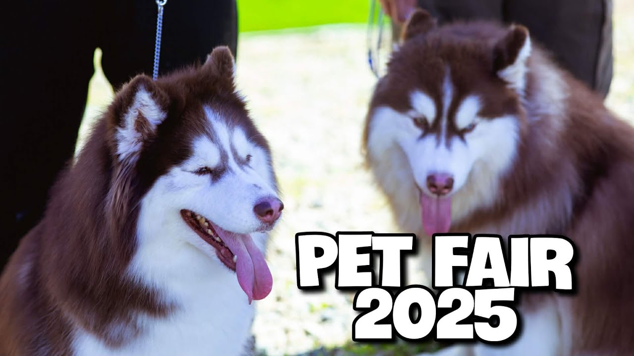 Pet Fair 2025 - Sky Ranch Tagaytay