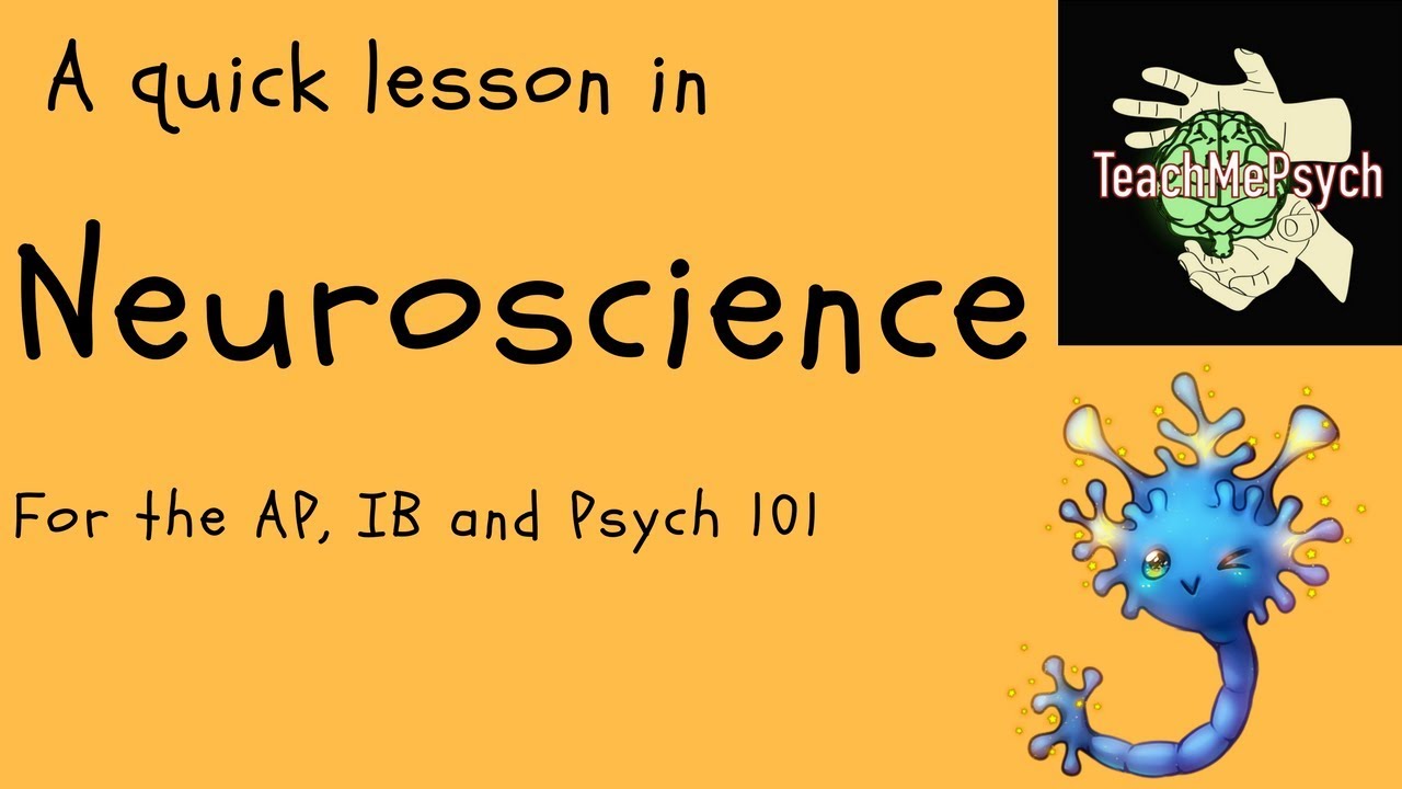 Neuroscience For Psychology