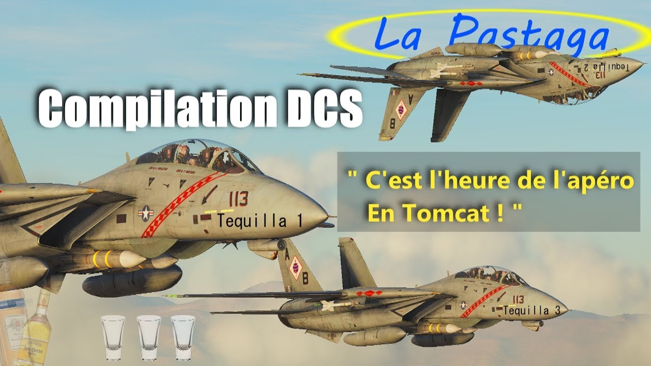 Le Zap de DCS - Le Tomcat dans tous ses états