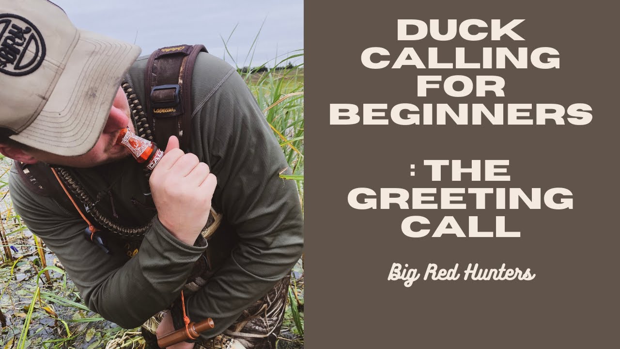 Duck Calling for Beginners: The Greeting Call