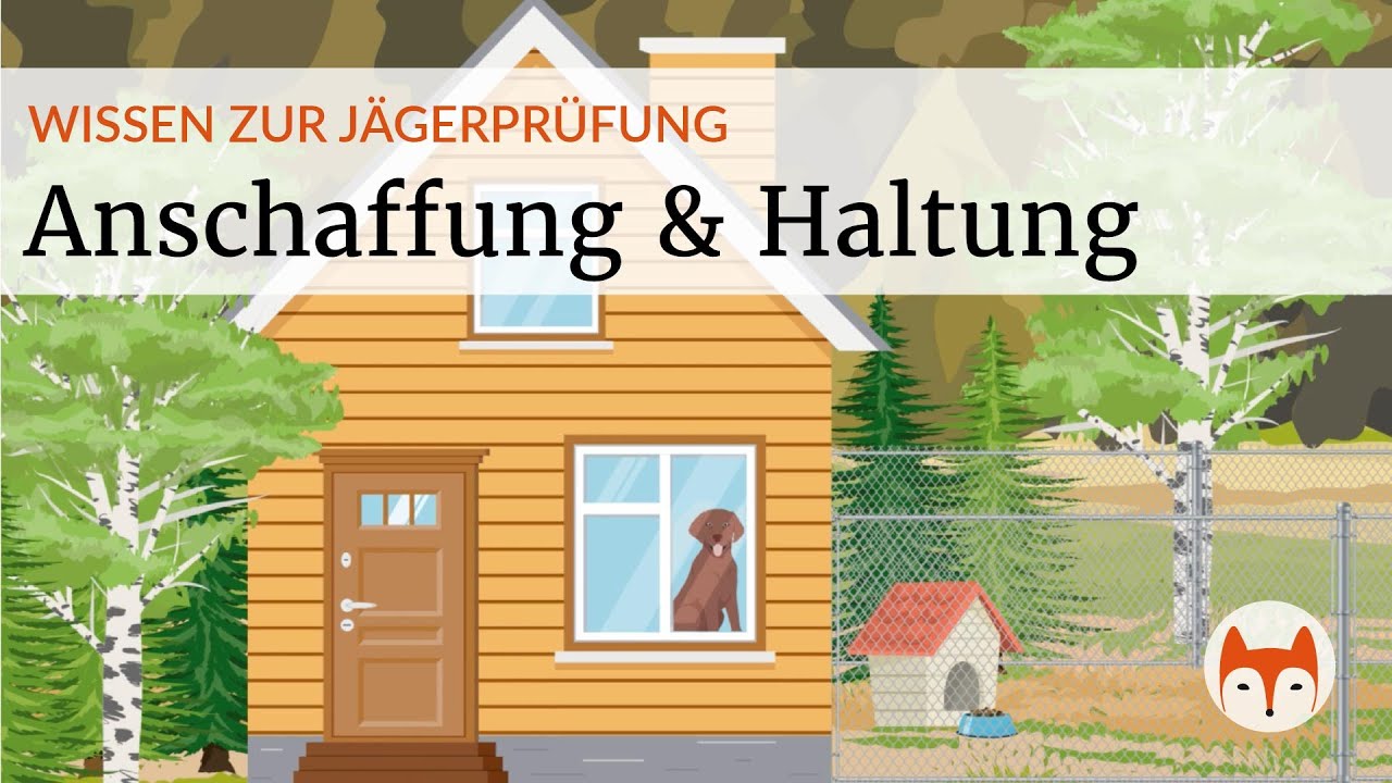 Jagdhunde Haltung &ndash; alles was du f&uuml;r die J&auml;gerpr&uuml;fung wissen musst