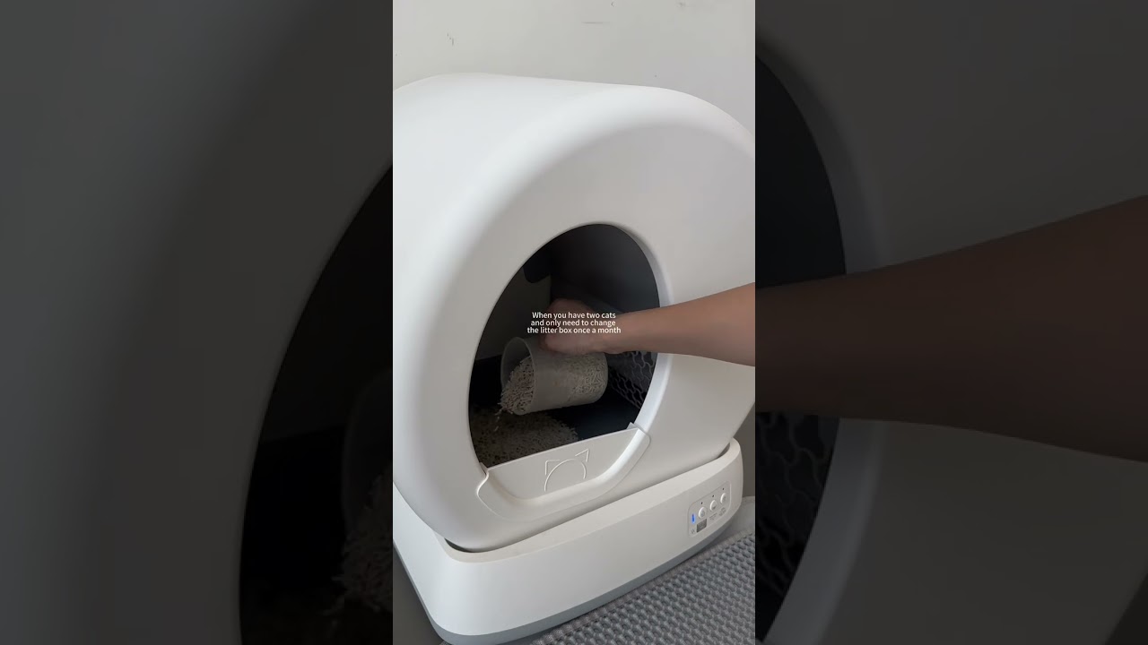 Transform your cat care routine with this must-have solution #litterbox