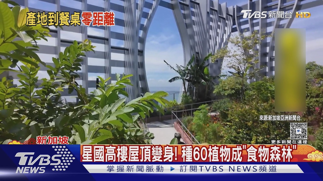 全球最高食物森林!新加坡280m高頂樓種「檸檬香桃木」｜TVBS新聞 @TVBSNEWS01