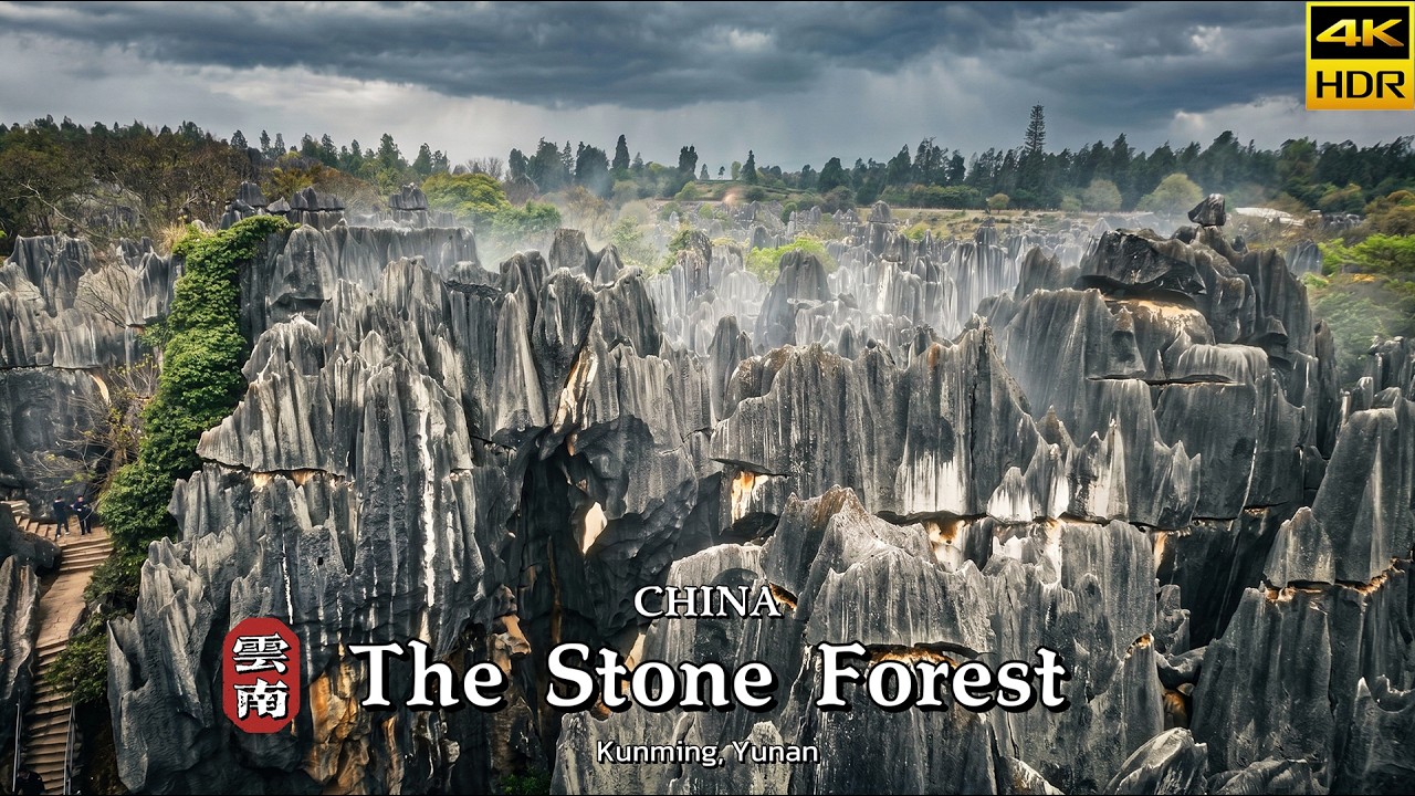 I Found The 