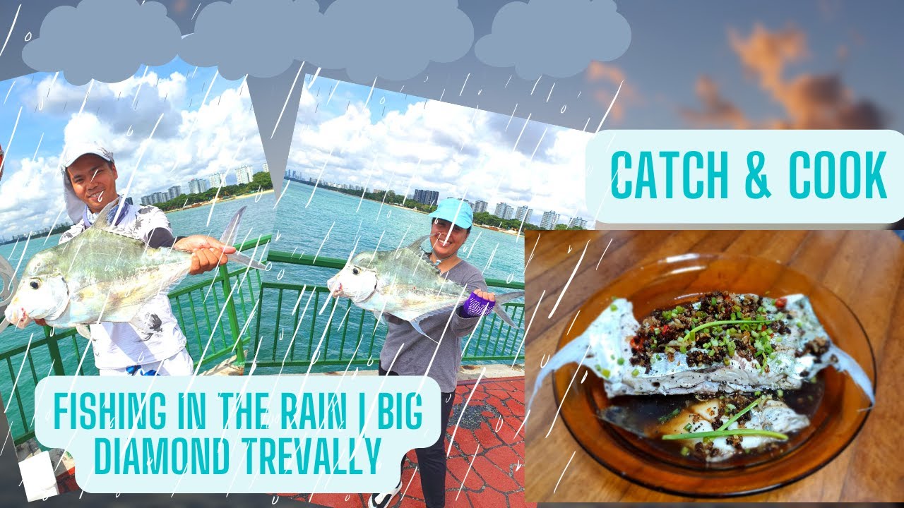 CATCH & COOK | BIG DIAMOND TREVALLY FISH  #fishing #trending #ikan #saltwaterfishing #viral