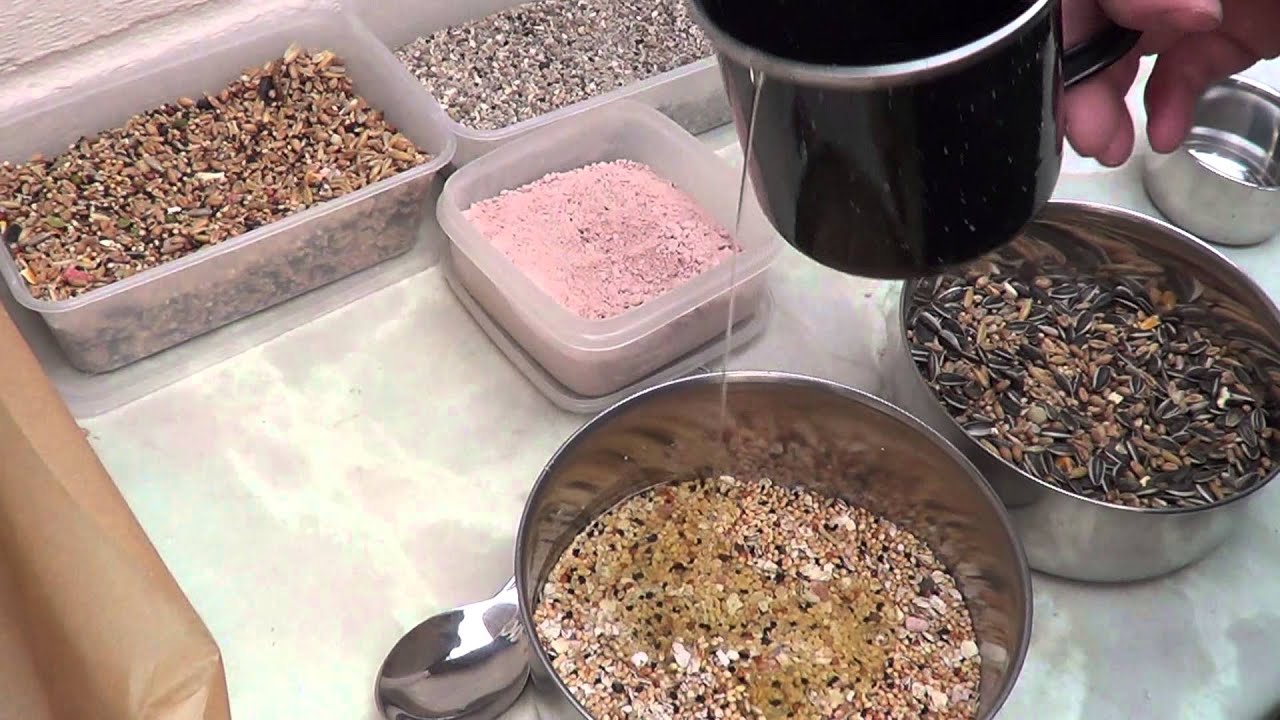 How To Make Bird Seed Treats