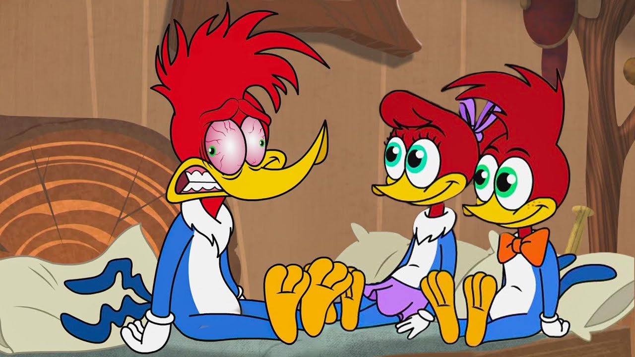 Sleepover Regrets | Woody Woodpecker