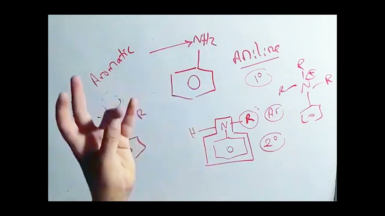 مقدمة الامين والقاعدية والتسميات