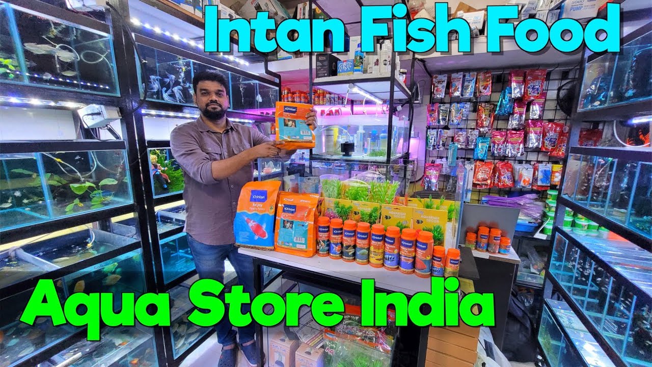 Aqua Store India's BEST Kept Secret for Healthy Fishes Revealed I Intan Fish Food