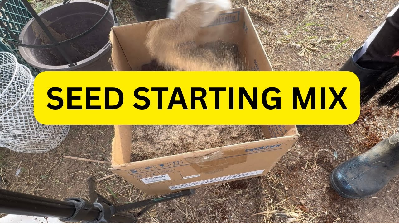 Making our Own Seed Starting Mix | Seedlings Update | #containergardening #zone9b #arizona