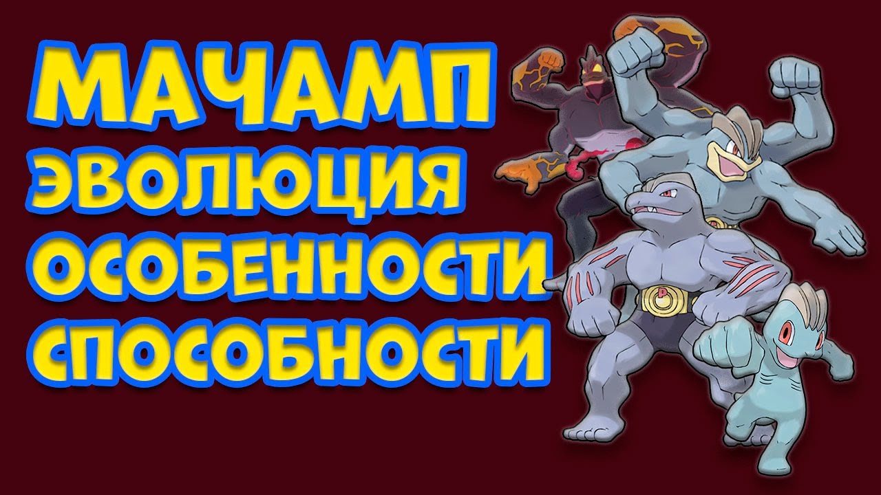 МАЧАМП. ЭВОЛЮЦИЯ, ОСОБЕННОСТИ, СПОСОБНОСТИ