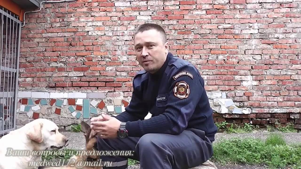 команда 