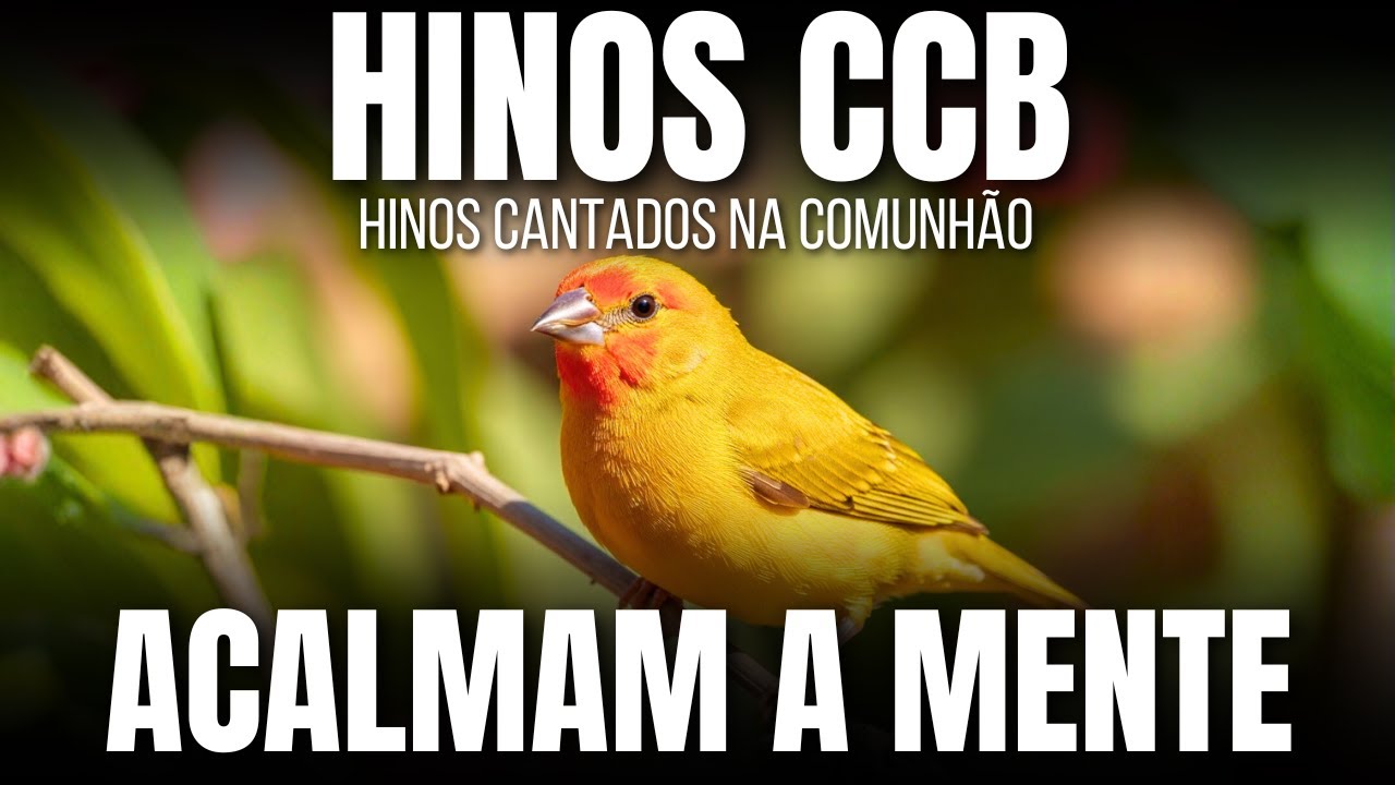 🙏 HINOS CCB QUE EDIFICAM NA PROVA 🌙 LOUVORES SIMPLES QUE TRAZEM SOSSEGO E ESPERANÇA AO CORAÇÃO ✨