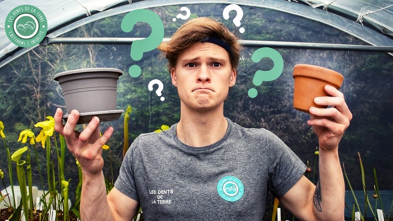 Plante Carnivore : Quel pot choisir ?