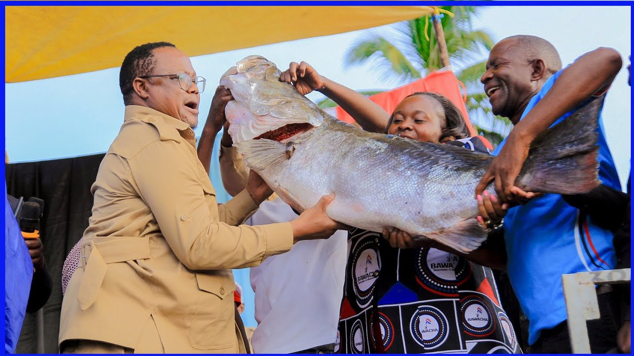 KUHUSU SHOMBO NITAENDA KUOGA, TUNDU LISSU ALIVOPOKELEWA KWA ZAWADI NONO UKO NKASI