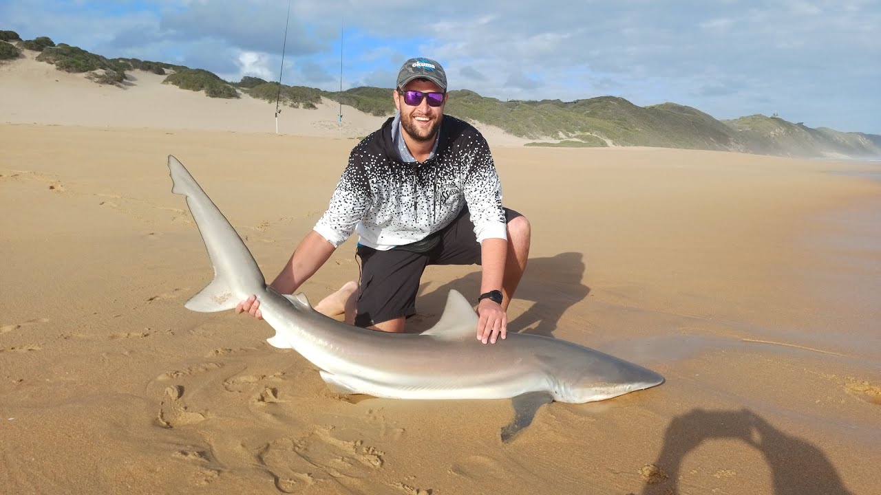 Shark Fishing in the Garden Route of South Africa for Huge Bronze Whaler Sharks