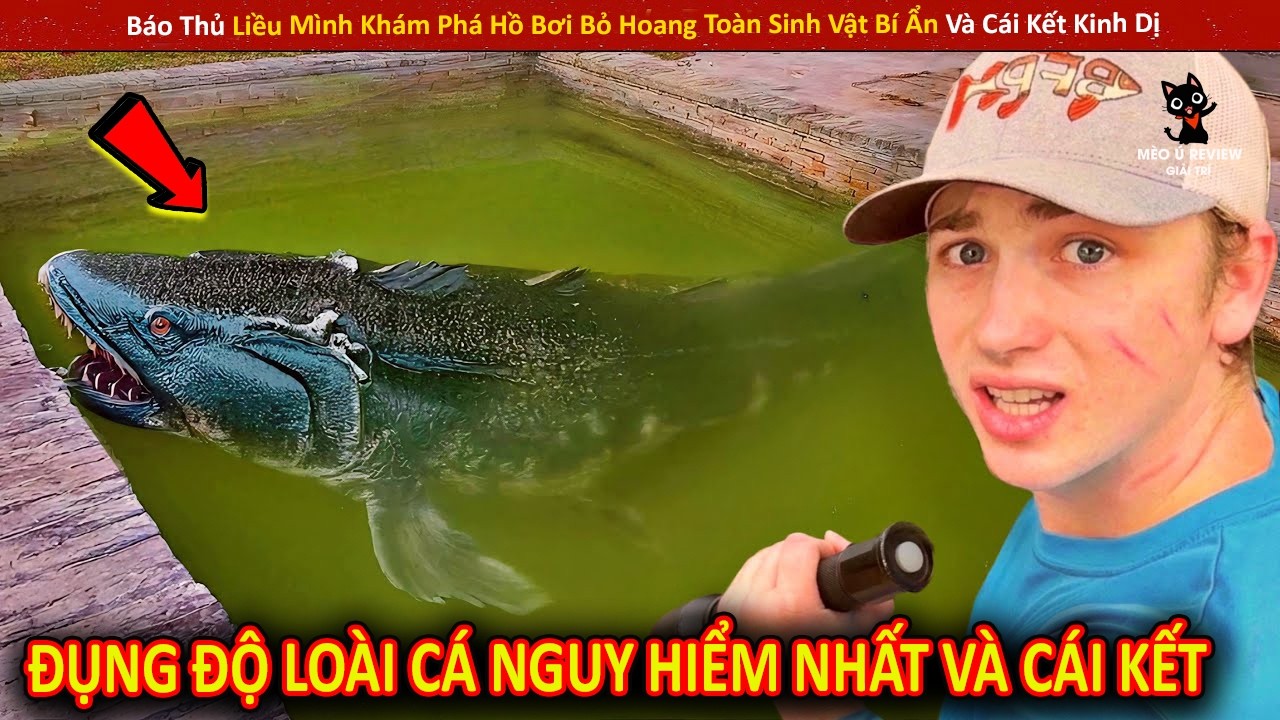 Báo Thủ Liều Mình Khám Phá Hồ Bơi Bỏ Hoang Toàn Sinh Vật Bí Ẩn Và Cái Kết Kinh Dị | Review Giải Trí