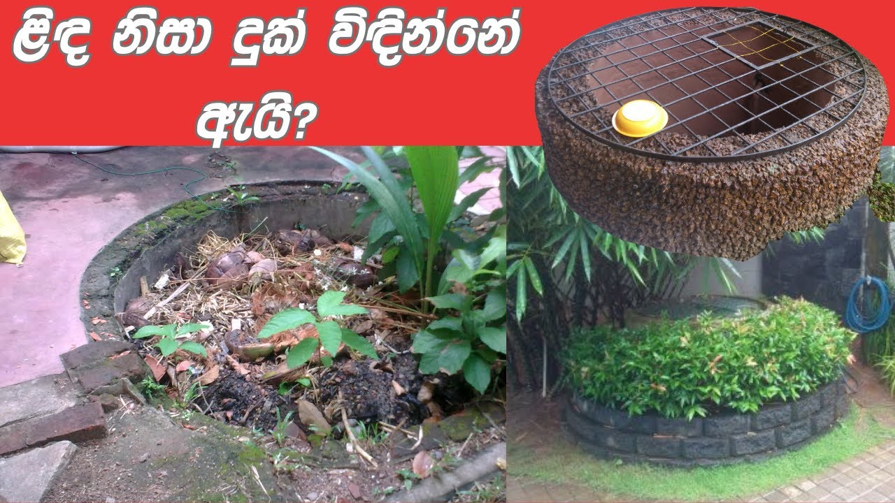 Why suffer because of the well?  ළිඳ නිසා දුක් විඳින්නේ ඇයි?  296