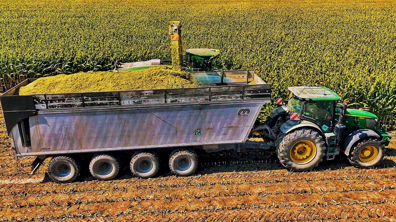 Урожай кукурузы 2024 JOHN DEERE 9900i 490 PLUS 12 рядов
