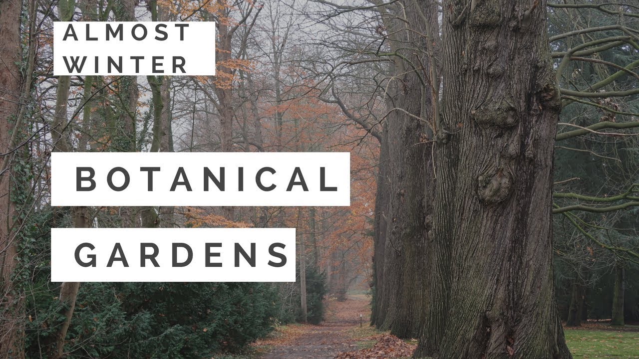 Winter Wonderland vs Tropical Gardens in Botanical Garden - Meise - Visit Belgium #19/589