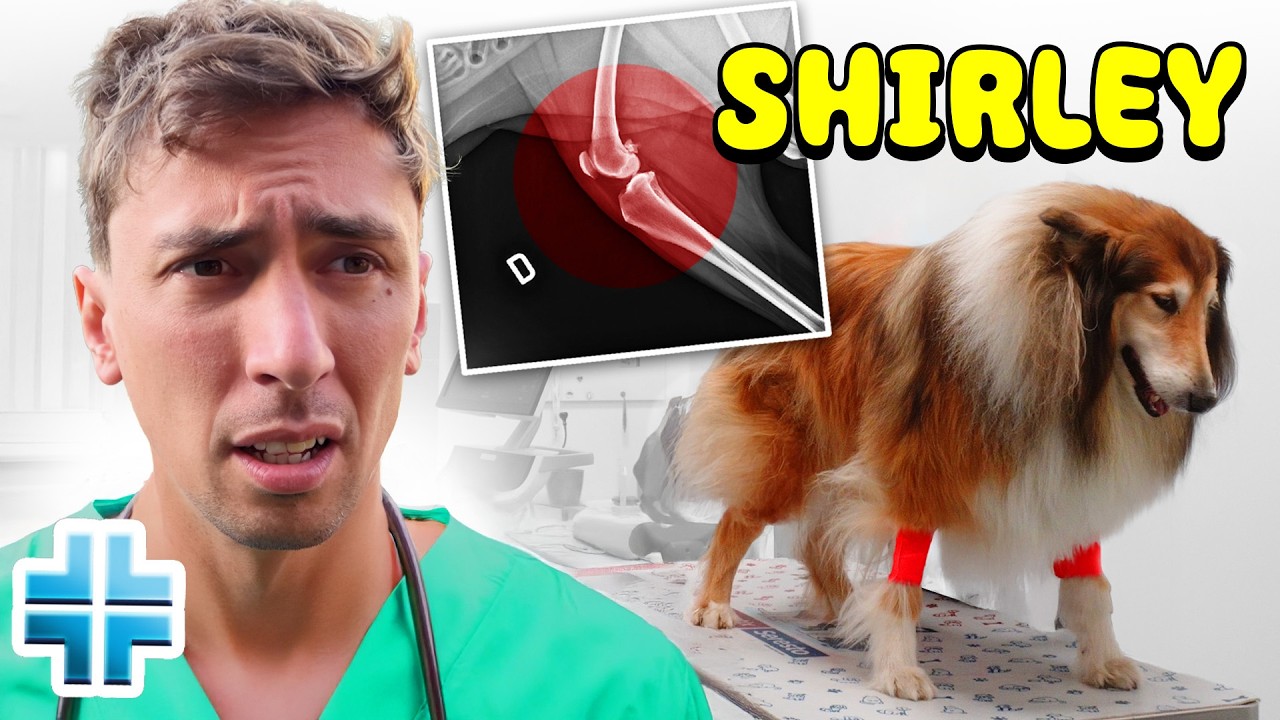 Porto i miei CANI dal VETERINARIO 🐶 Che disastro!